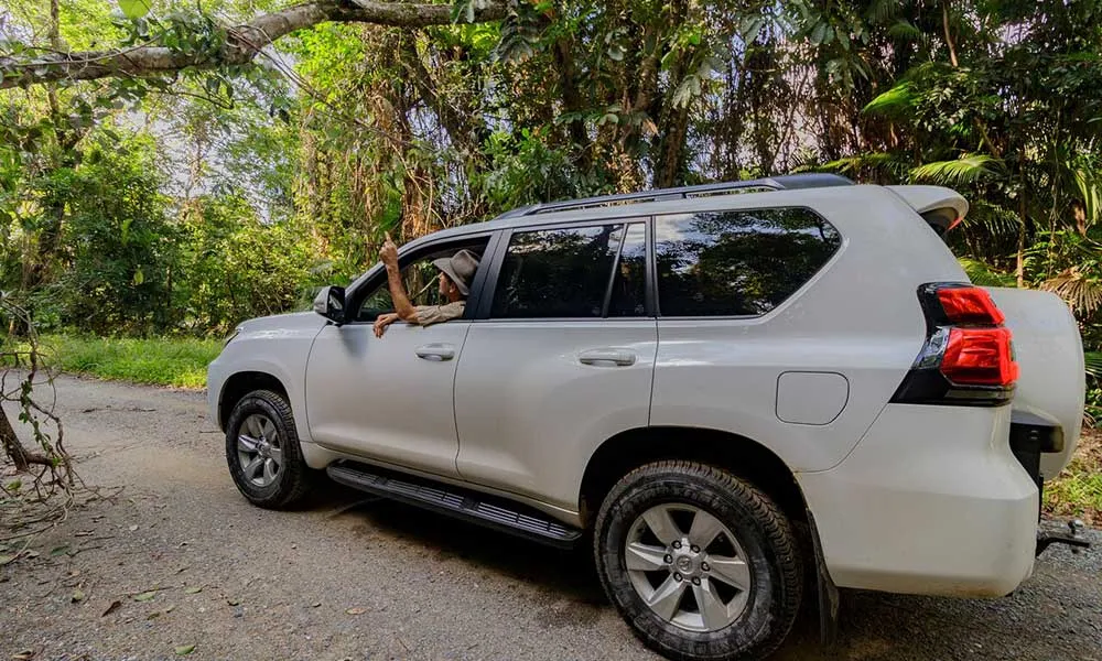 Half Day Daintree Rainforest 4WD Tour - Book Now | Experience Oz-2