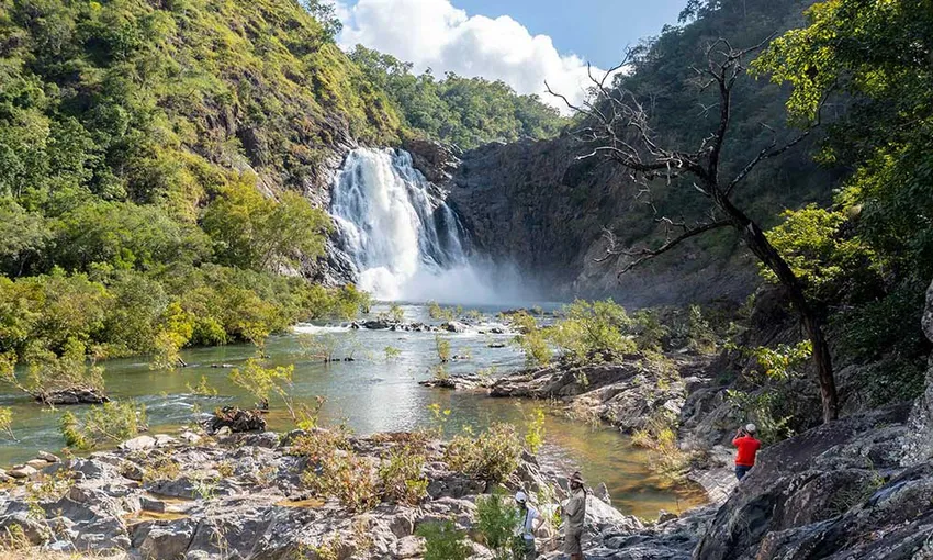 Half Day Daintree Rainforest 4WD Tour - Book Now | Experience Oz