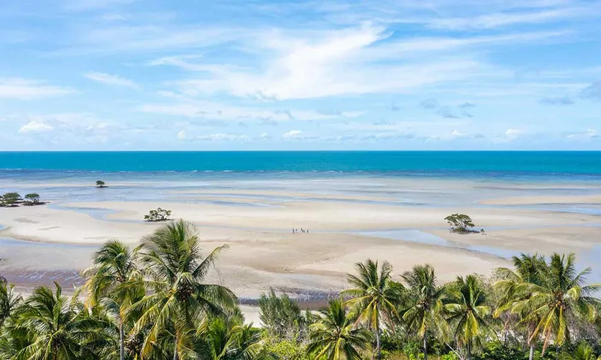 Half Day Daintree Rainforest 4WD Tour - Book Now | Experience Oz