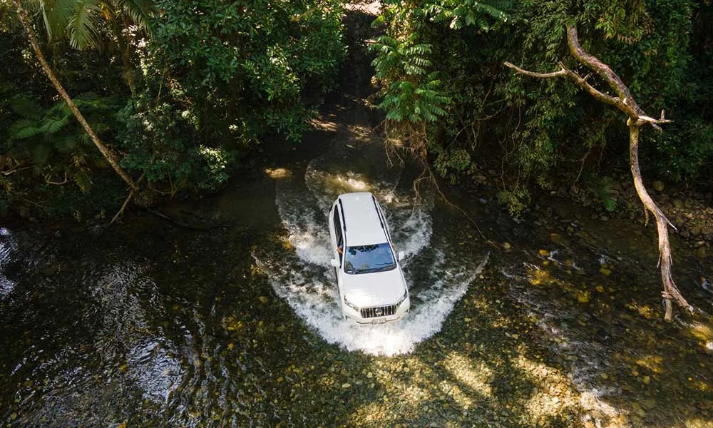 Half Day Daintree Rainforest 4WD Tour - Book Now | Experience Oz-5