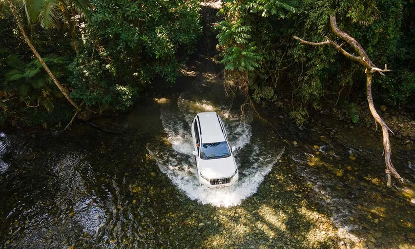 Half Day Daintree Rainforest 4WD Tour - Book Now | Experience Oz