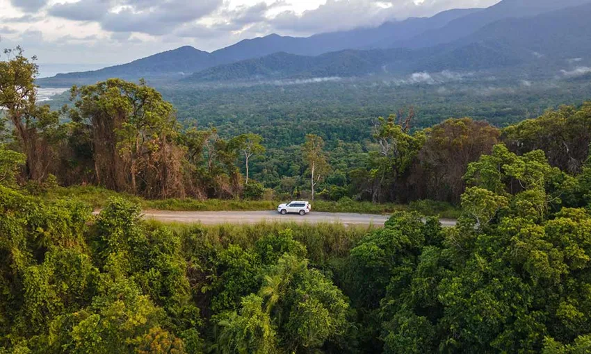 Half Day Daintree Rainforest 4WD Tour - Book Now | Experience Oz