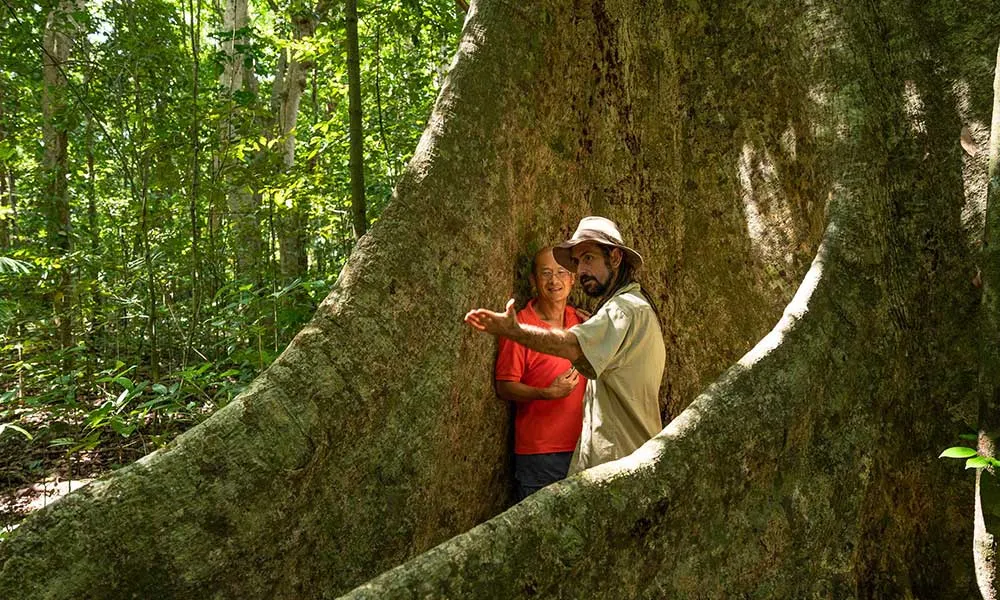 1 Day Cooktown and Daintree Rainforest Tour - Book Now | Experience Oz-3