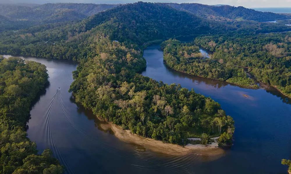 1 Day Cooktown and Daintree Rainforest Tour - Book Now | Experience Oz-5