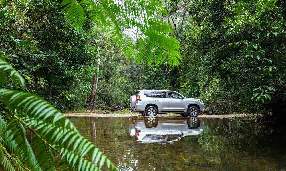 1 Day Cooktown and Daintree Rainforest Tour - Book Now | Experience Oz-6