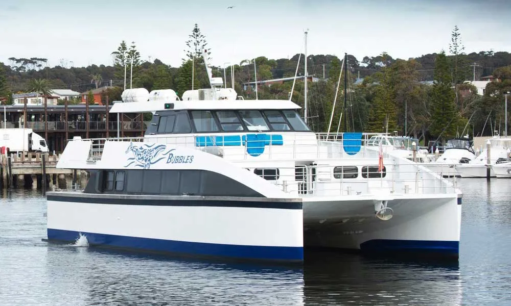 Sydney to Hobart Yacht Race Spectator Cruise | Experience Oz-5