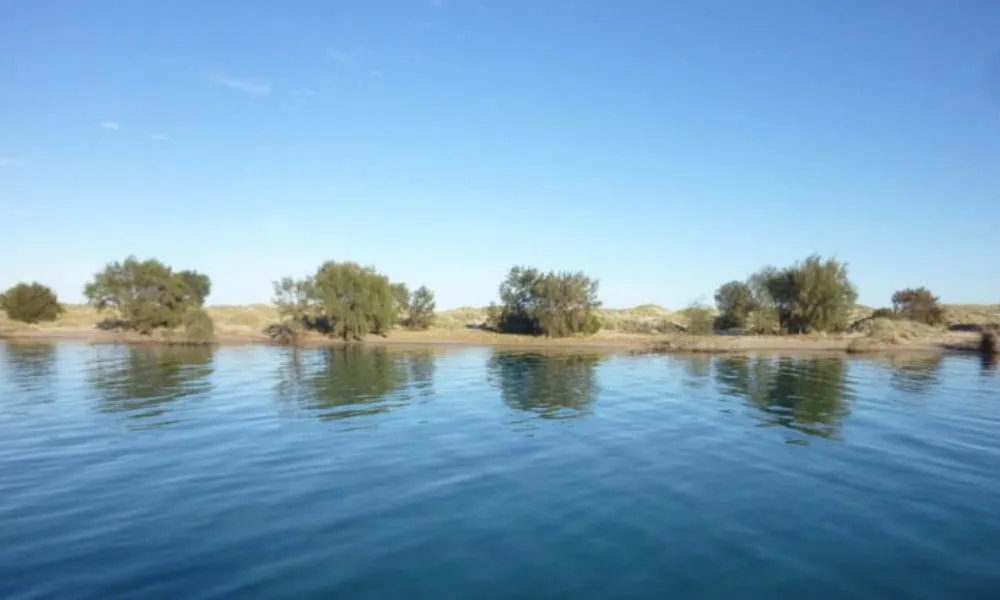 Morning River Cruise On Murchison River Kalbarri | Experience Oz-3