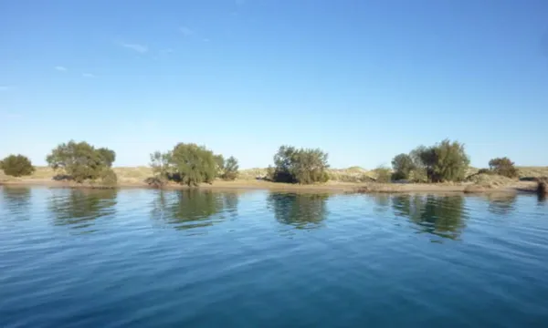 Morning Cruise on Murchison River Kalbarri