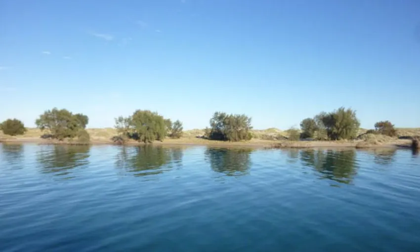 Morning River Cruise On Murchison River Kalbarri | Experience Oz