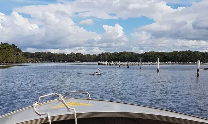 Forster Boat Hire - 4 Hours | Experience Oz