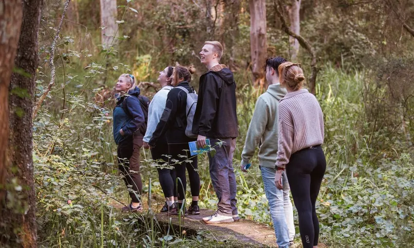 Lake Macquarie Adventure Cruise & Nature Walk | Experience Oz