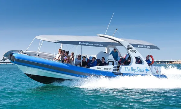 Wirrina Cove Scenic Cruise - 75 Minutes