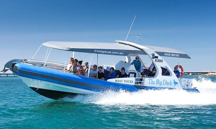 Wirrina Scenic Cruise - 60 Minutes | Experience Oz
