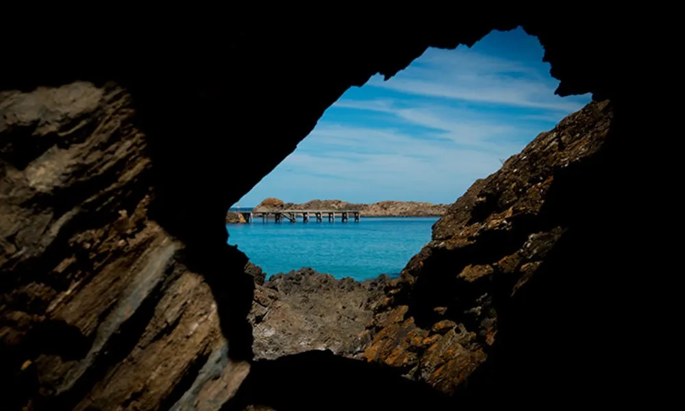 Wirrina Scenic Cruise - 60 Minutes | Experience Oz-4