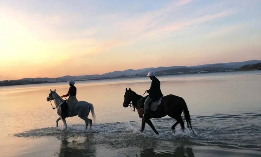 Guided Horse Ride on 7 Mile Beach in Cambridge | Experience Oz