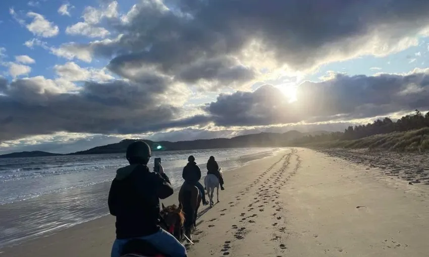 Guided Horse Ride on 7 Mile Beach in Cambridge | Experience Oz