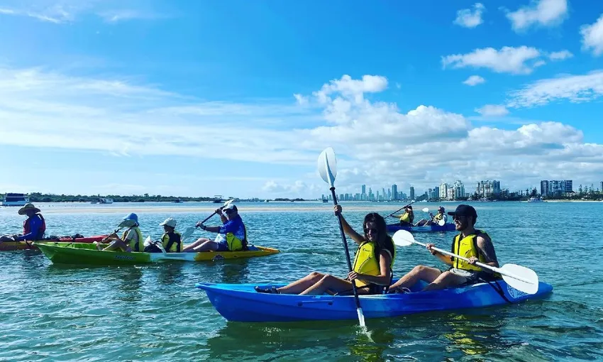 Broadwater Dolphin Kayaking & Snorkeling Tour | Experience Oz