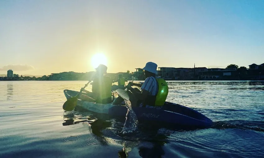 Broadwater Dolphin Kayaking & Snorkeling Tour | Experience Oz