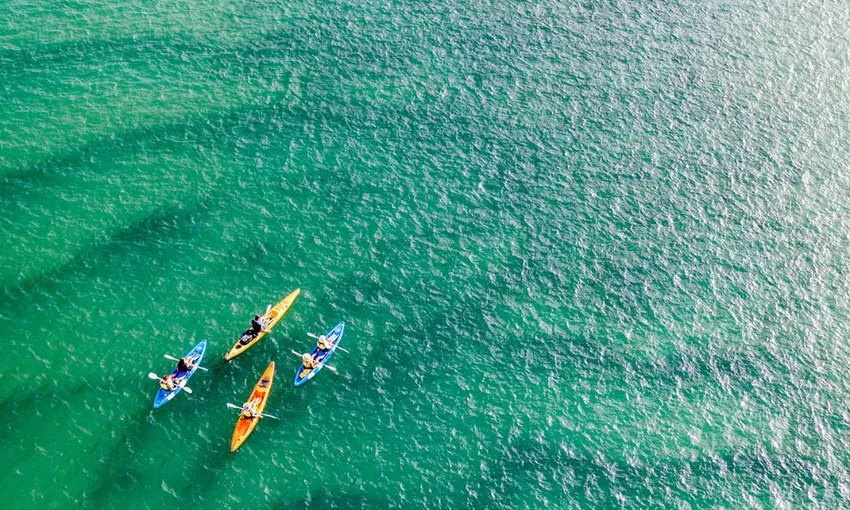 Broadwater Dolphin Kayaking & Snorkeling Tour | Experience Oz