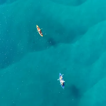 Broadwater Dolphin Kayaking & Snorkeling Tour