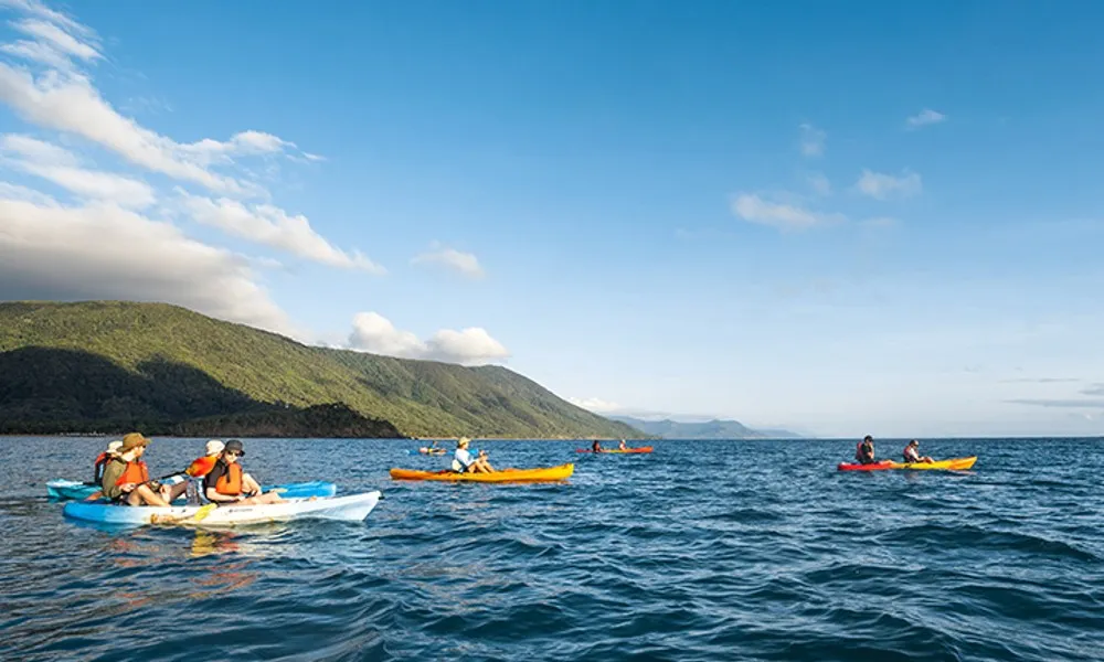 Half Day Kayak Turtle Tour from Palm Cove | Experience Oz-4