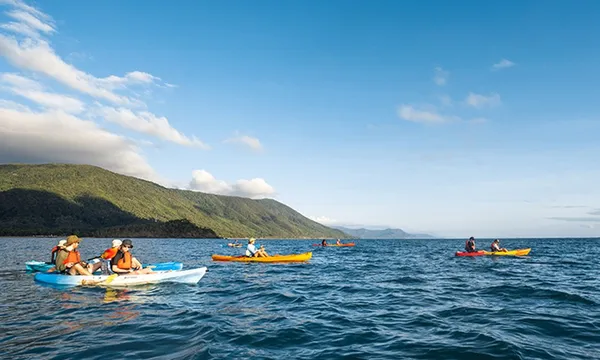 Cairns Kayak Turtle Tour from Palm Cove to Double Island - Half Day