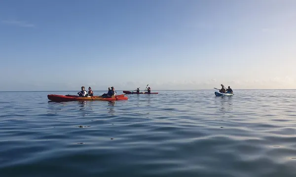 Great Barrier Reef Sunrise Kayak Tour 