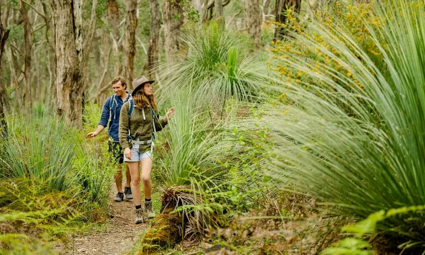 4 Day Southern Ocean Walk  | Experience Oz