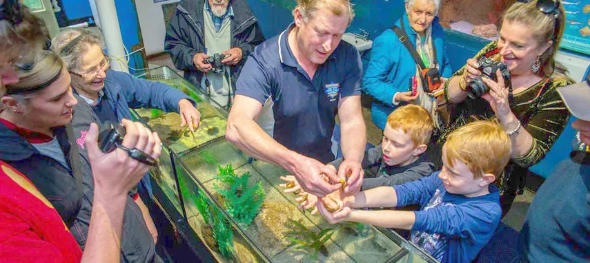 Seahorse Marine Wildlife Park Tour, Tasmania | Experience Oz