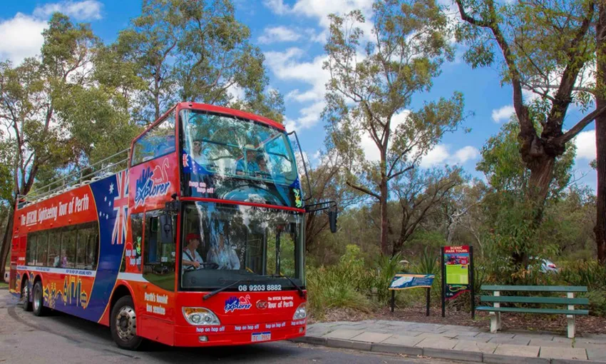 Perth and Kings Park Open Top Bus - Book Now | ExperienceOz