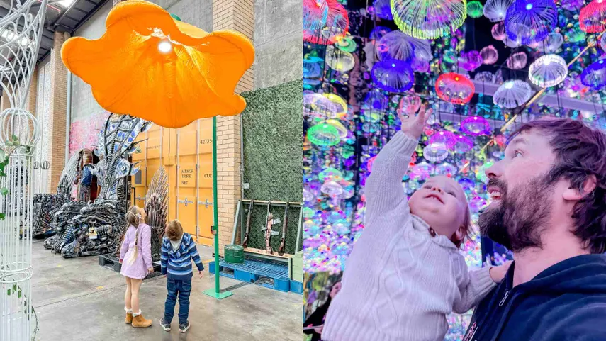 Metart World Exhibition and Indoor Playground | Experience Oz