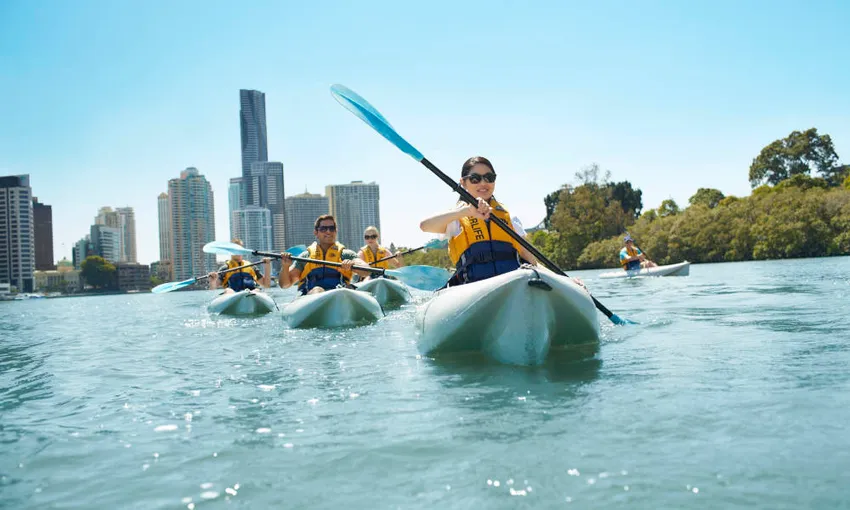 Guided Kayak Tour of Brisbane River - Book Now | Experience Oz