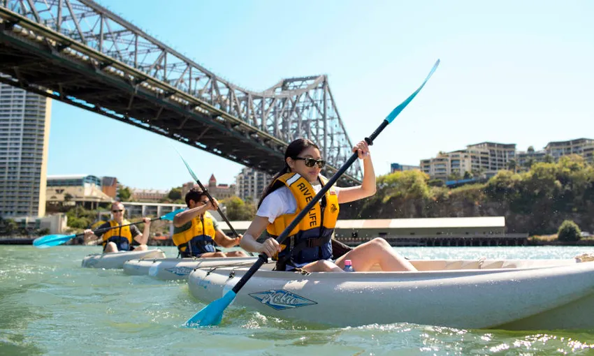 Guided Kayak Tour of Brisbane River - Book Now | Experience Oz