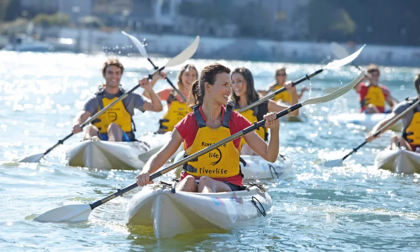 Guided Kayak Tour of Brisbane River - Book Now | Experience Oz