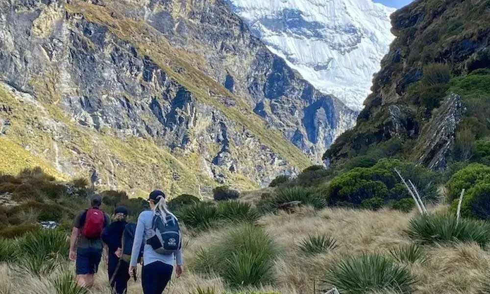Earnslaw Burn Helicoper Flight & Hike - Book Now | Experience Oz-3