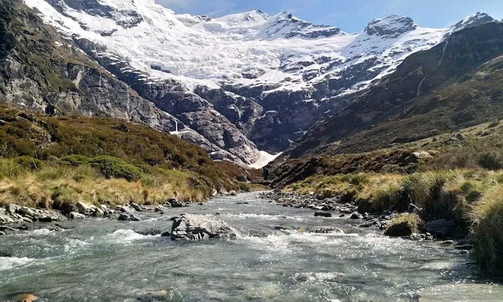 Earnslaw Burn Helicoper Flight & Hike - Book Now | Experience Oz-6