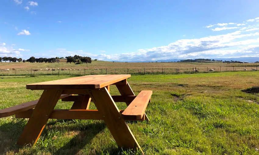 Brunch Alpaca Farm Experience - Book Now | Experience Oz