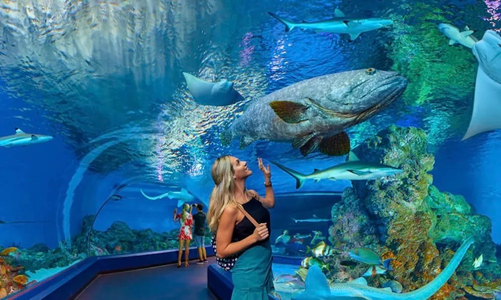  Cairns Aquarium Entry Ticket & Turtle Hospital Tour | ExperienceOz-5