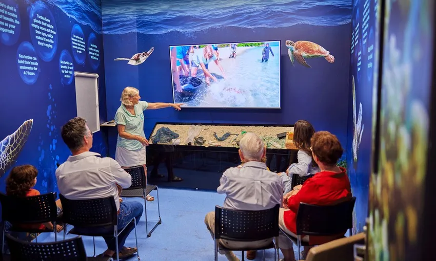 Cairns Aquarium Entry Ticket & Turtle Hospital Tour | ExperienceOz
