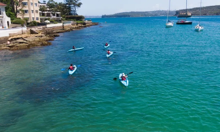 Manly Guided Kayak Tour with Snacks and Drinks | ExperienceOz