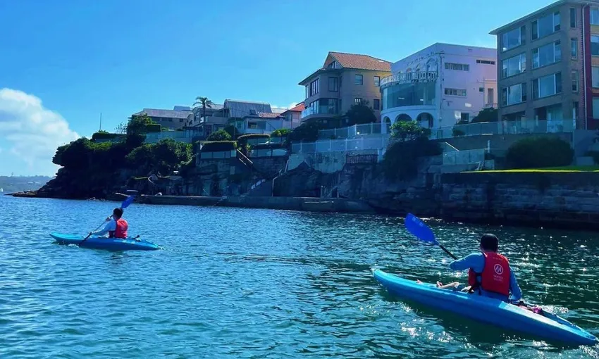 Manly Guided Kayak Tour with Snacks and Drinks | ExperienceOz