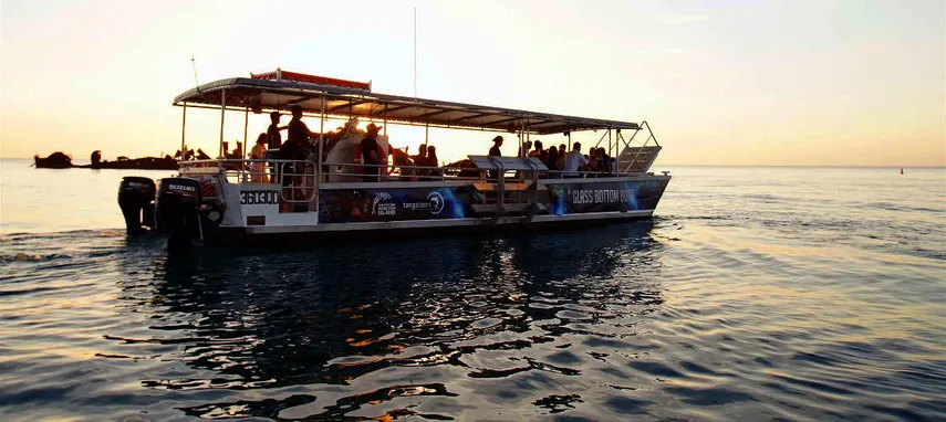 Moreton Island Wrecks Adventure Tour from Brisbane with Transfers | Experience Oz
