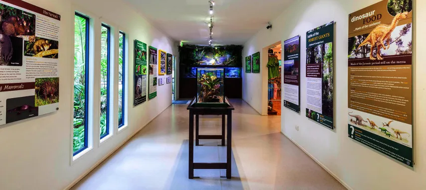 Tamborine Rainforest Skywalk | Experience Oz