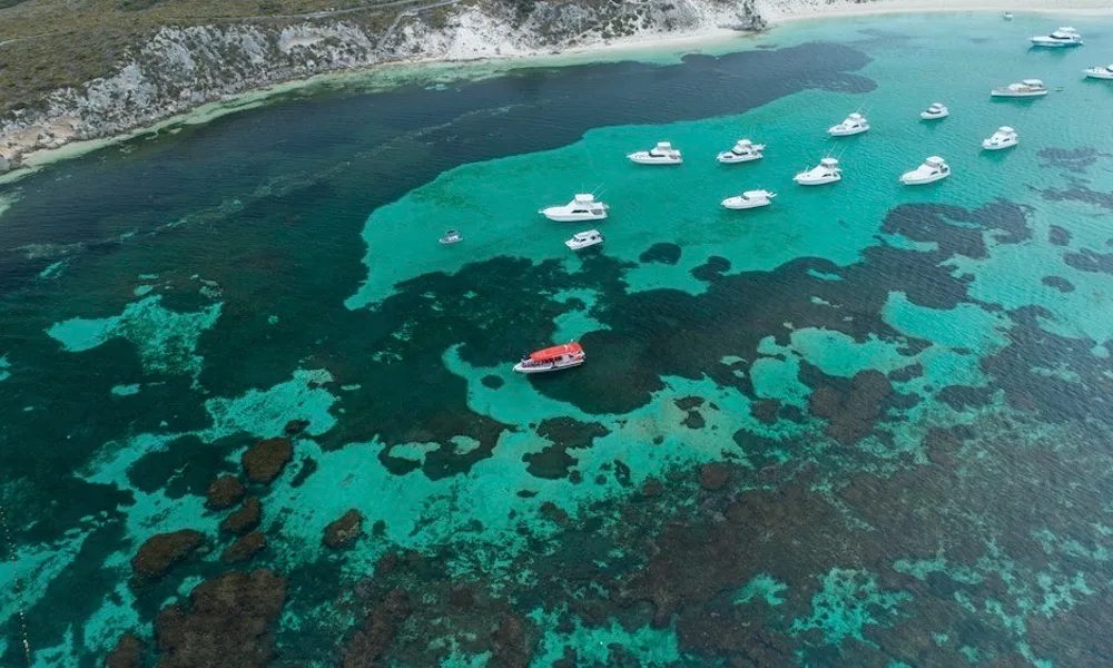 Rottnest Island Ferry & Adventure Boat Day Tour - Book Now | Experience Oz-3