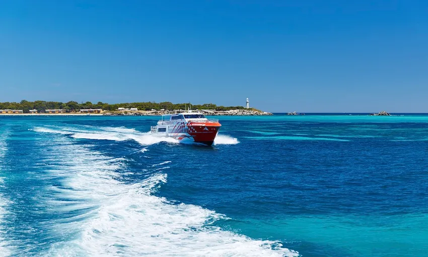 Rottnest Island Coach & Walking Tour - Book Now | Experience Oz