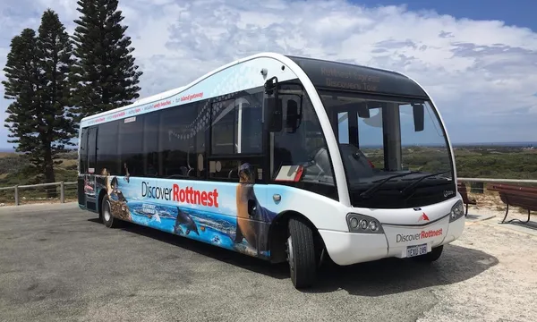 Rottnest Island Day Tour including Guided Bus Tour from Perth