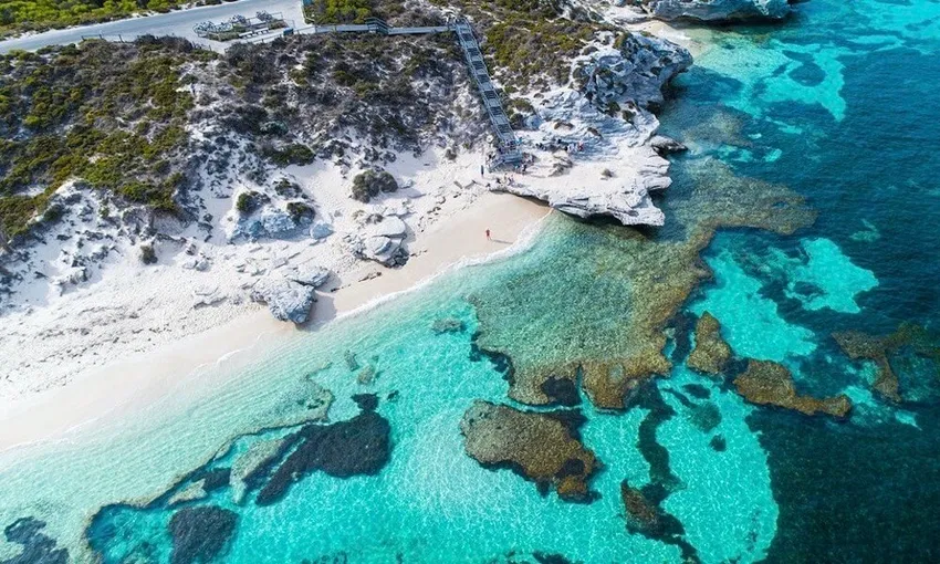 Rottnest Island Coach & Walking Tour - Book Now | Experience Oz