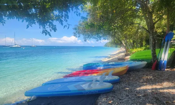 Fitzroy Island Stand Up Paddle Board or Snorkel 4 Hours Water Time  