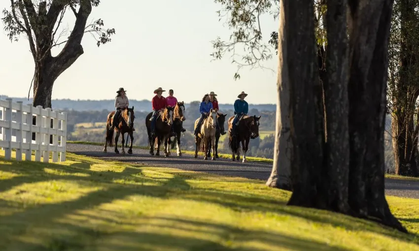 Hunter Valley Horse Riding, Wine and Produce Tour | ExperienceOz