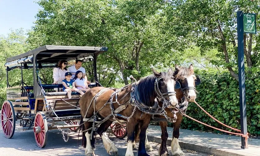 Hunter Valley Horse Riding, Wine and Produce Tour | ExperienceOz